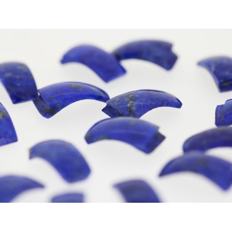 Lapis lazuli Rond de bague par paire 13x6.60mm