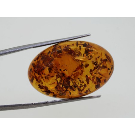 Ambre 30x20mm cabochon ovale 17.25cts
