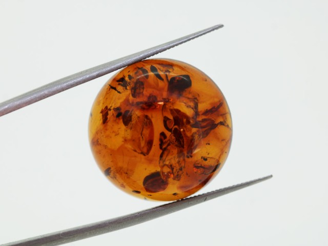 Ambre cabochon rond 20mm...