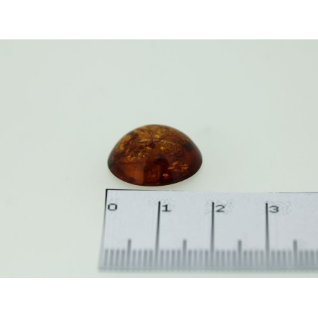 Ambre cabochon rond 18mm 5.51cts