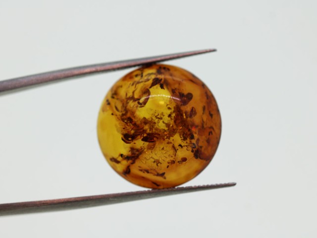 Ambre cabochon rond 18mm...