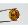 Ambre cabochon rond 18mm 5.51cts