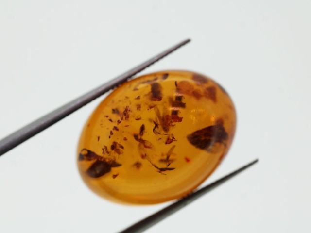 Ambre cabochon ovale...