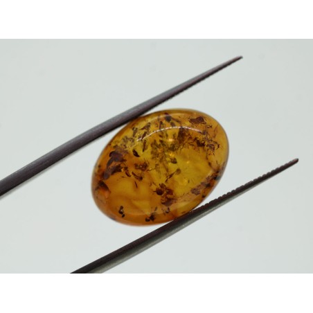 Ambre cabochon ovale 18x13mm 4.42cts