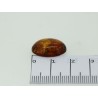 Ambre cabochon ovale 18x13mm 4.42cts