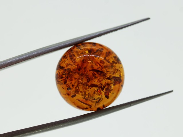 Ambre cabochon rond 15mm...