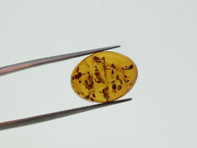 Ambre cabochon ovale...