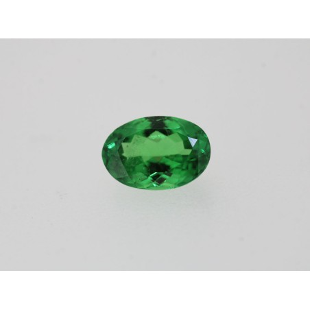 Tsavorite fine ovale 7x5mm 1.04ct