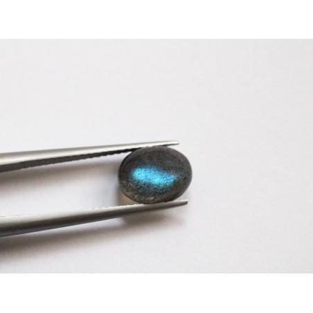 Labradorite Cabochon Ovale 9x7mm 2.18cts