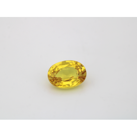 Saphir fin jaune ovale 8x6mm 1.61cts