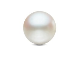 Perles de culture d'eau douce