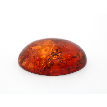 Ambre ovale cabochon 18x13mm 4.22cts