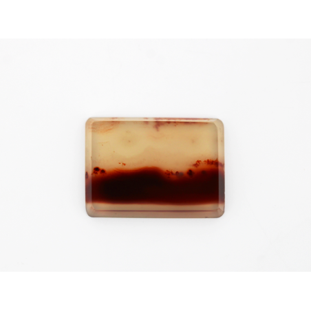 Agate paysage 20x14.7mm 8.23cts