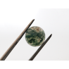 Agate mousse ronde cabochon 12mm 6.35cts