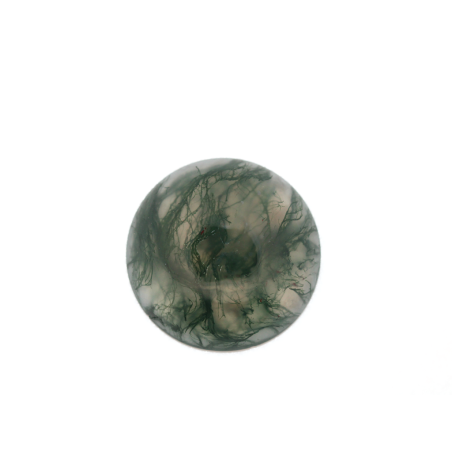 Agate mousse ronde cabochon 20mm 16.68cts