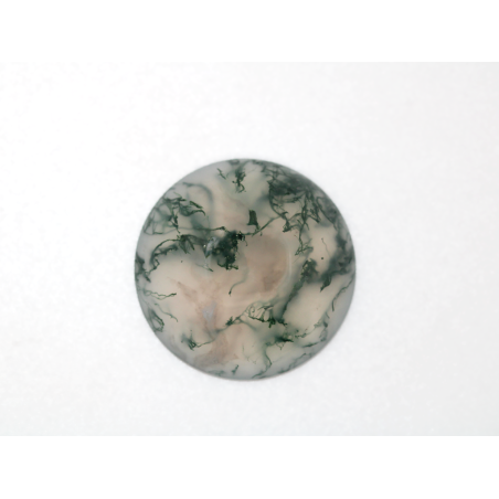 Agate mousse ronde cabochon 20mm 16.86cts