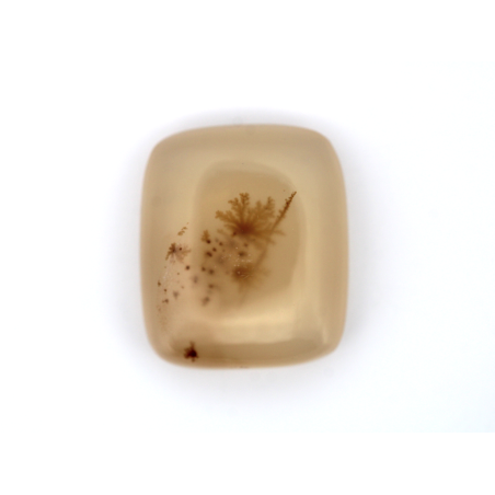 Agate Dendrite R.A cabochon 19.6x16.8mm 18.83cts