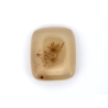 Agate Dendrite R.A cabochon 19.6x16.8mm 18.83cts