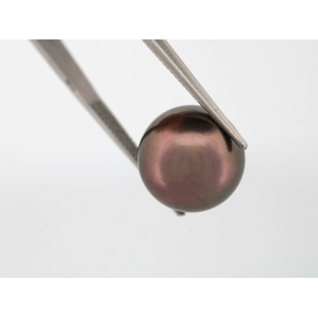 Perles de Tahiti 14.95mm 23.44cts