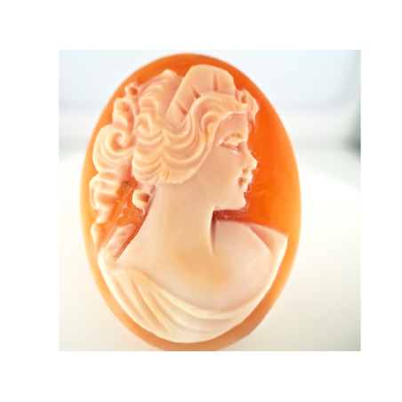 Camée coquille ovale 30x23mm 12.03ct