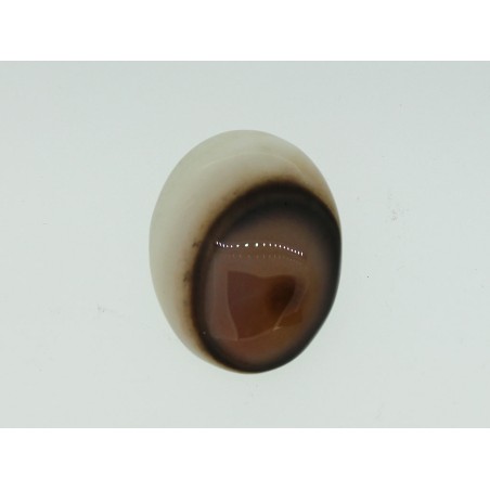 Agate galet ovale 31.8 x 24.9 mm 49.39cts