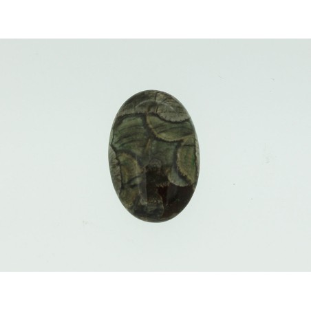 Rhyolite cabochon 27.4x18.9mm 23.55cts