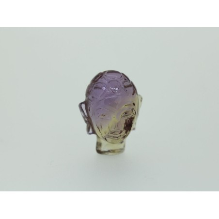 Amétrine Taille Fantaisie 13.29cts