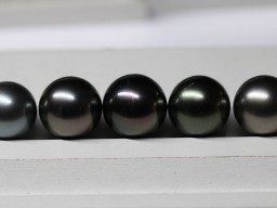Perles de Tahiti 9,5 à 10 mm