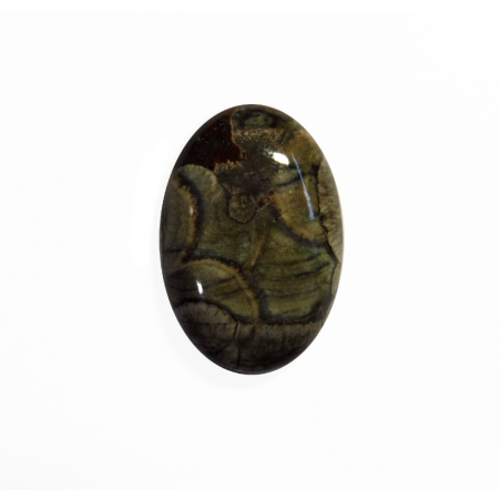 Rhyolite cabochon 27.4x18.9mm 23.55cts